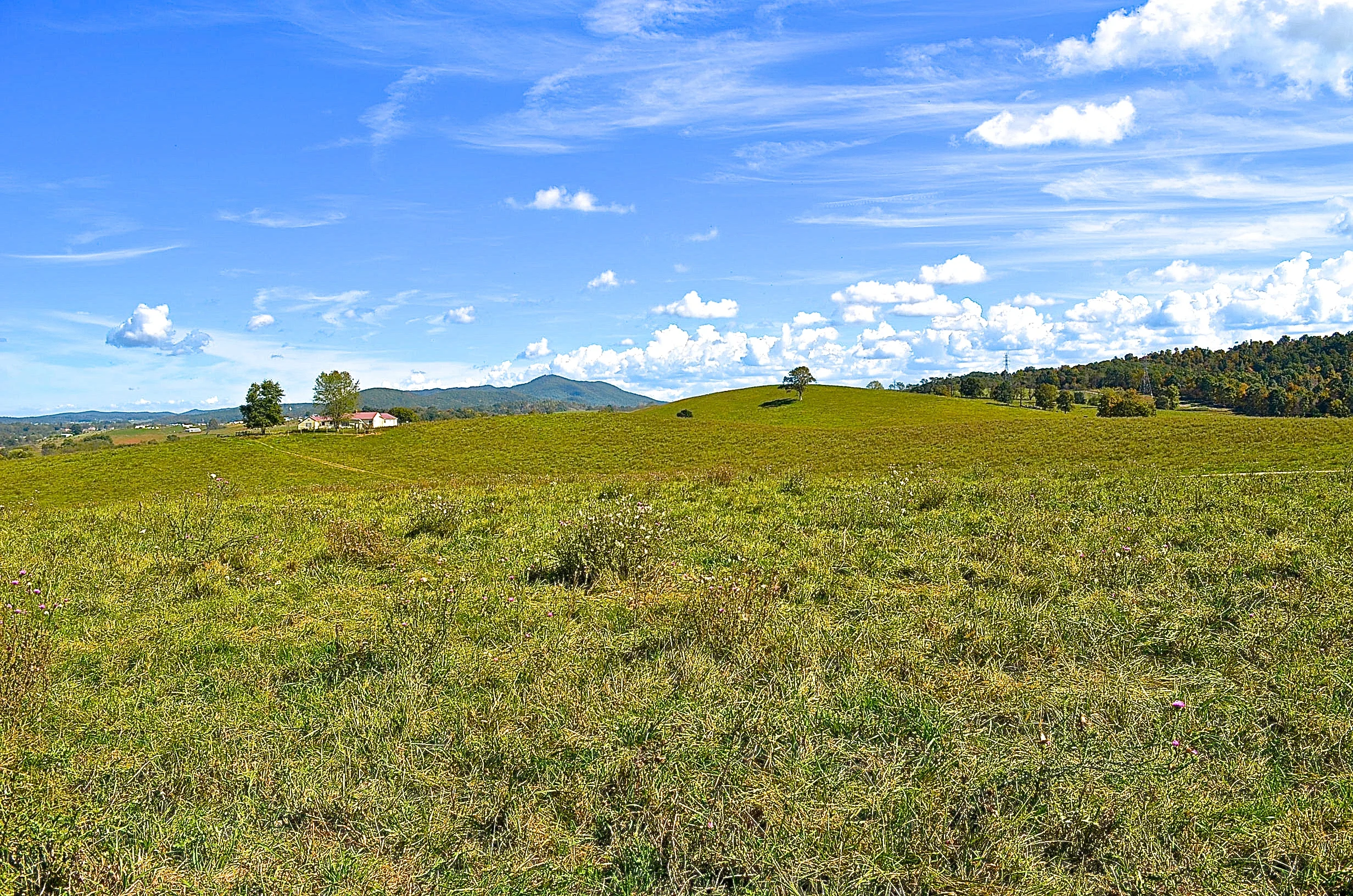 Wytheville VA property ground 10