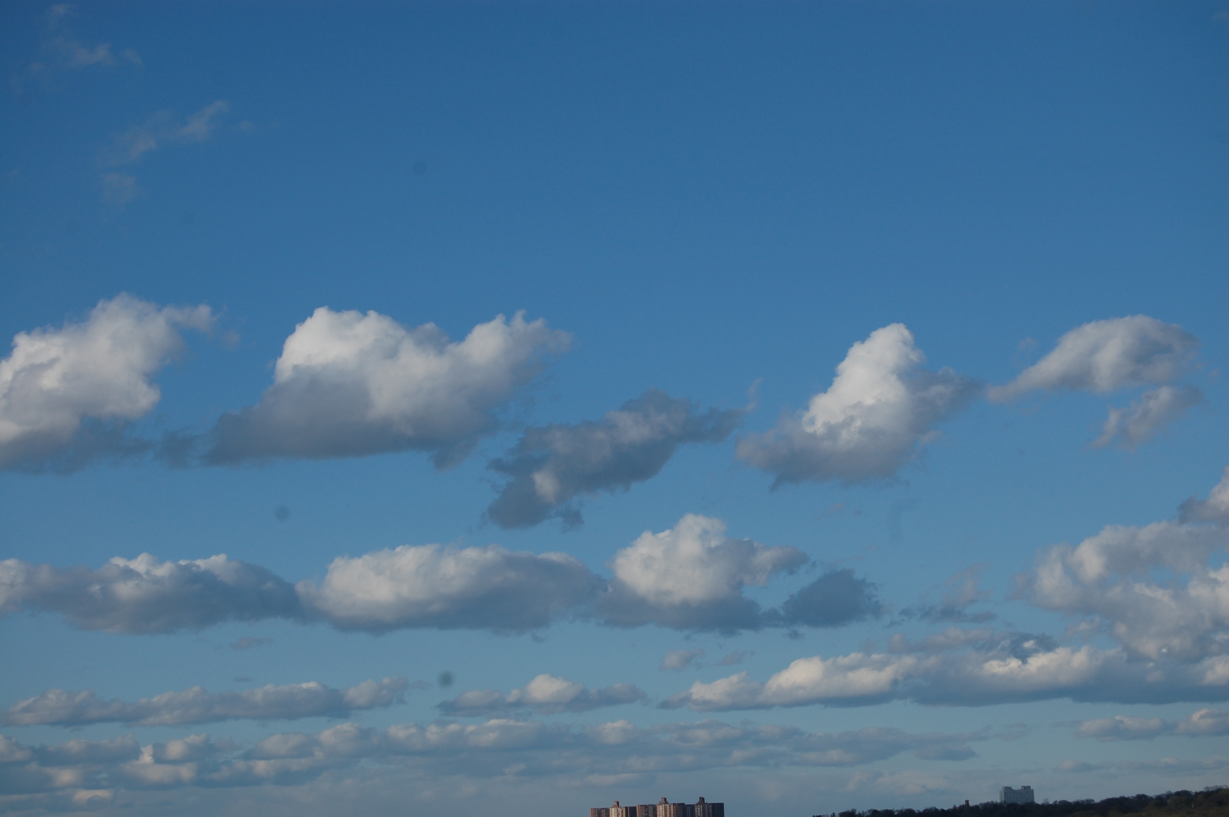 DSC_0005.JPG
