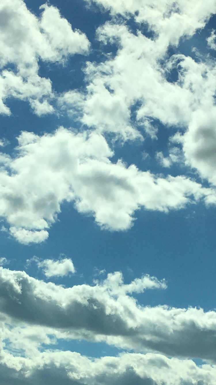 IMG_3114.PNG