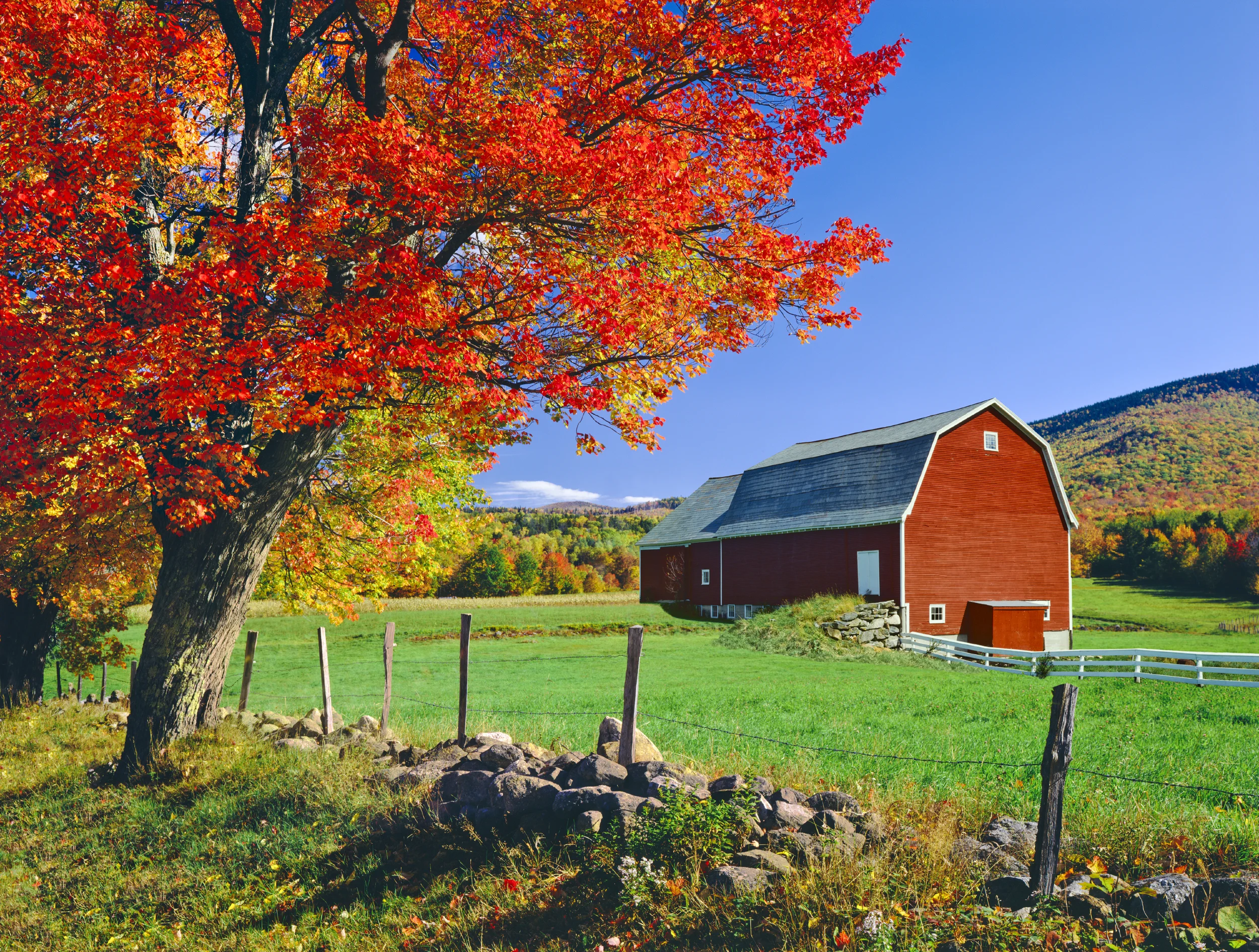 Barn in the fall.jpg