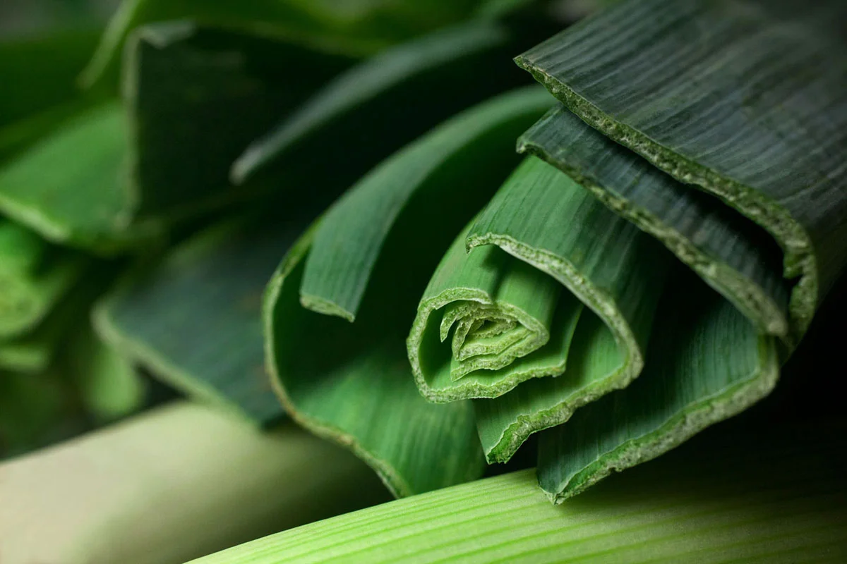 Leeks (1).jpg