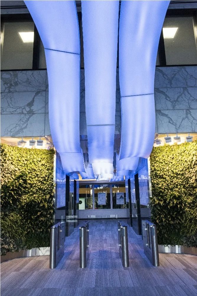 WEO_Direct_Photos_2014-26 - Copy.jpg