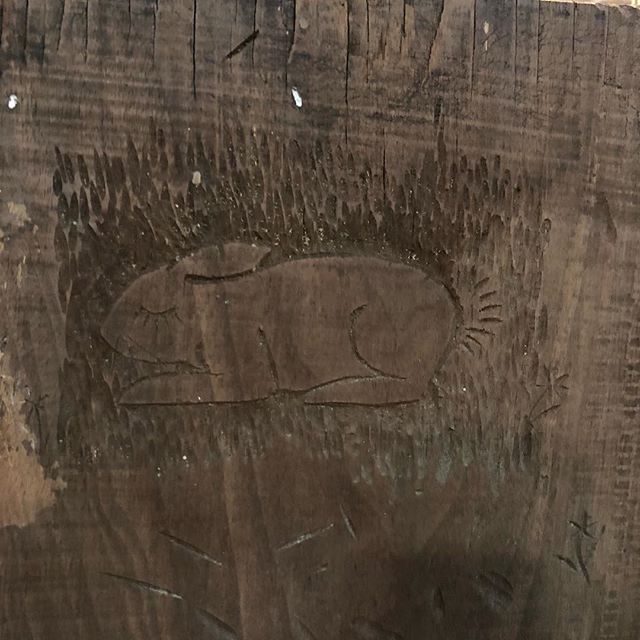 Found this neat little carving on an old piece of walnut. Someone at the lumberyard apparently was working on their carving skills #rabbitcarving #handcarving #boredatwork #virginiacraftsmen