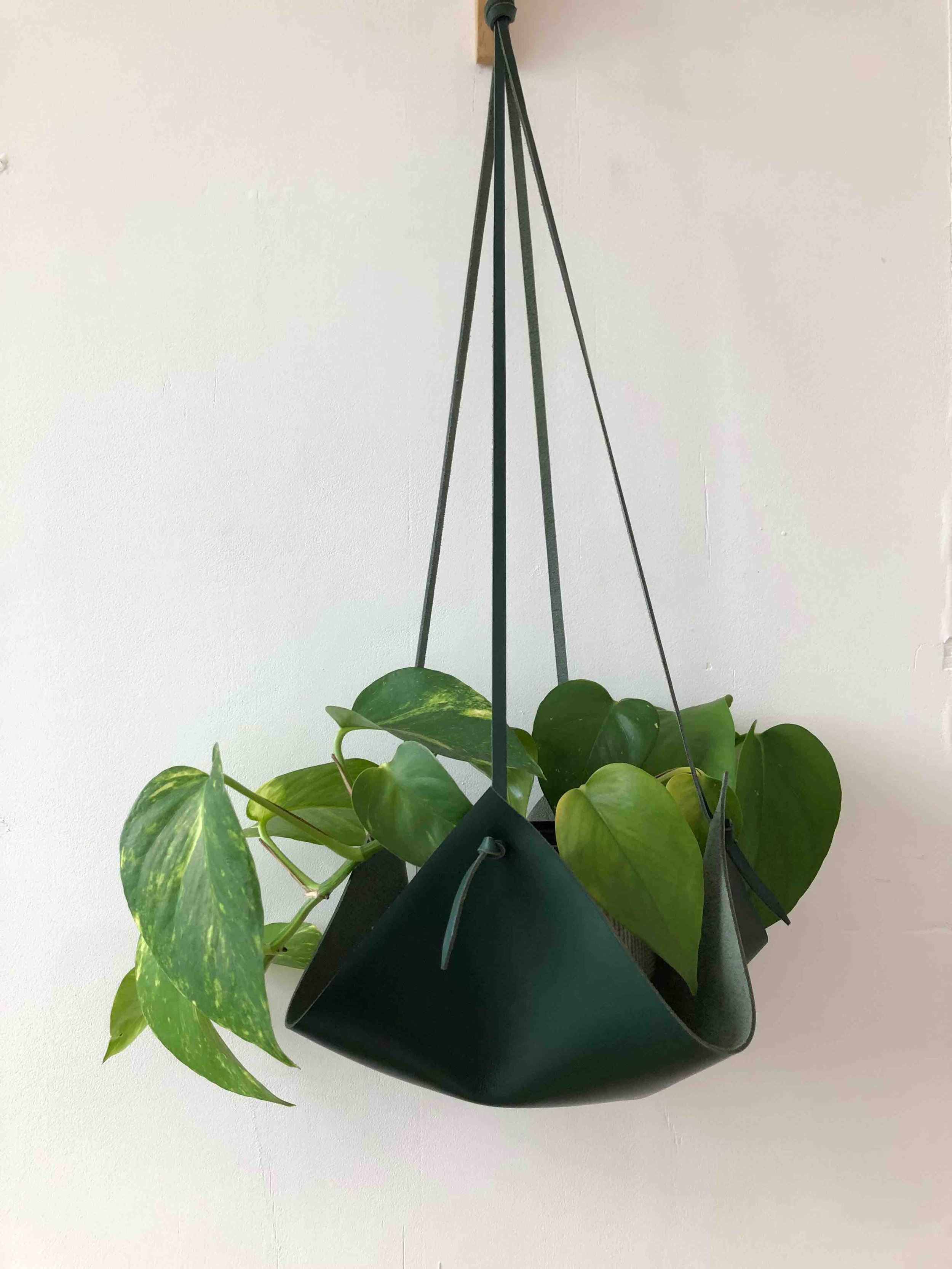 CARV sustainable leather plant hanger handmade in the UK.