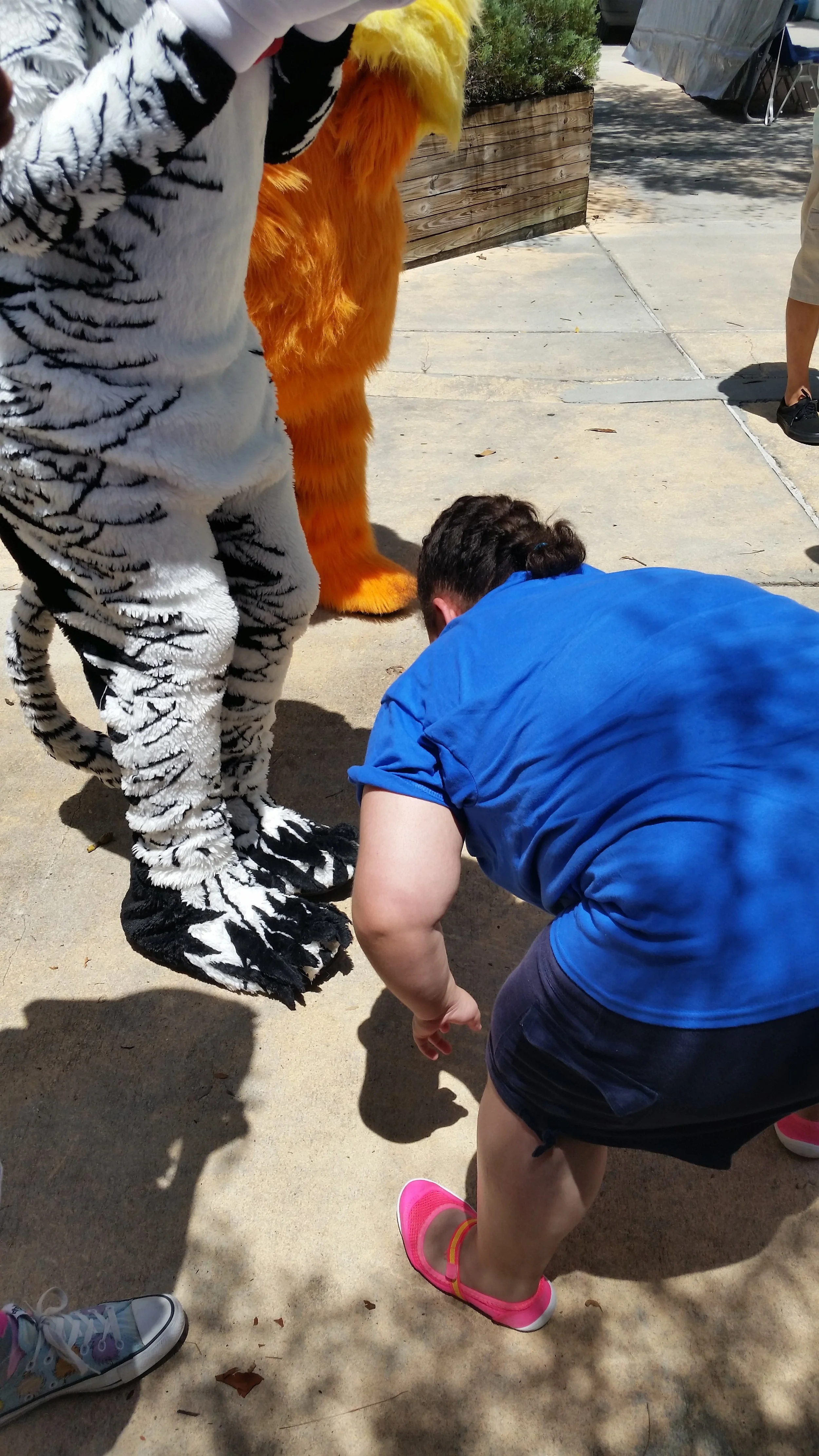 20150710_144603.jpg