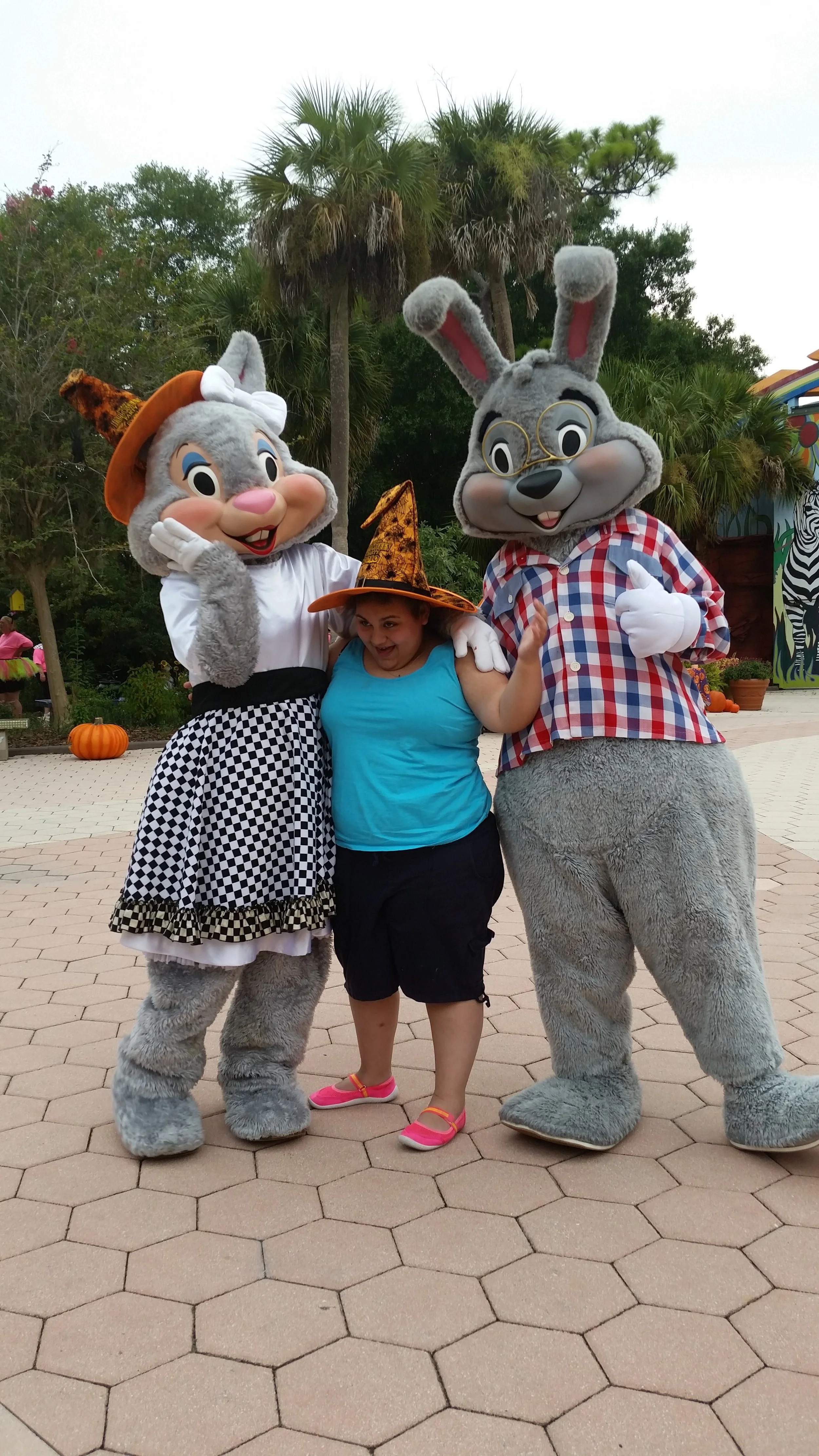 20150713_192108.jpg