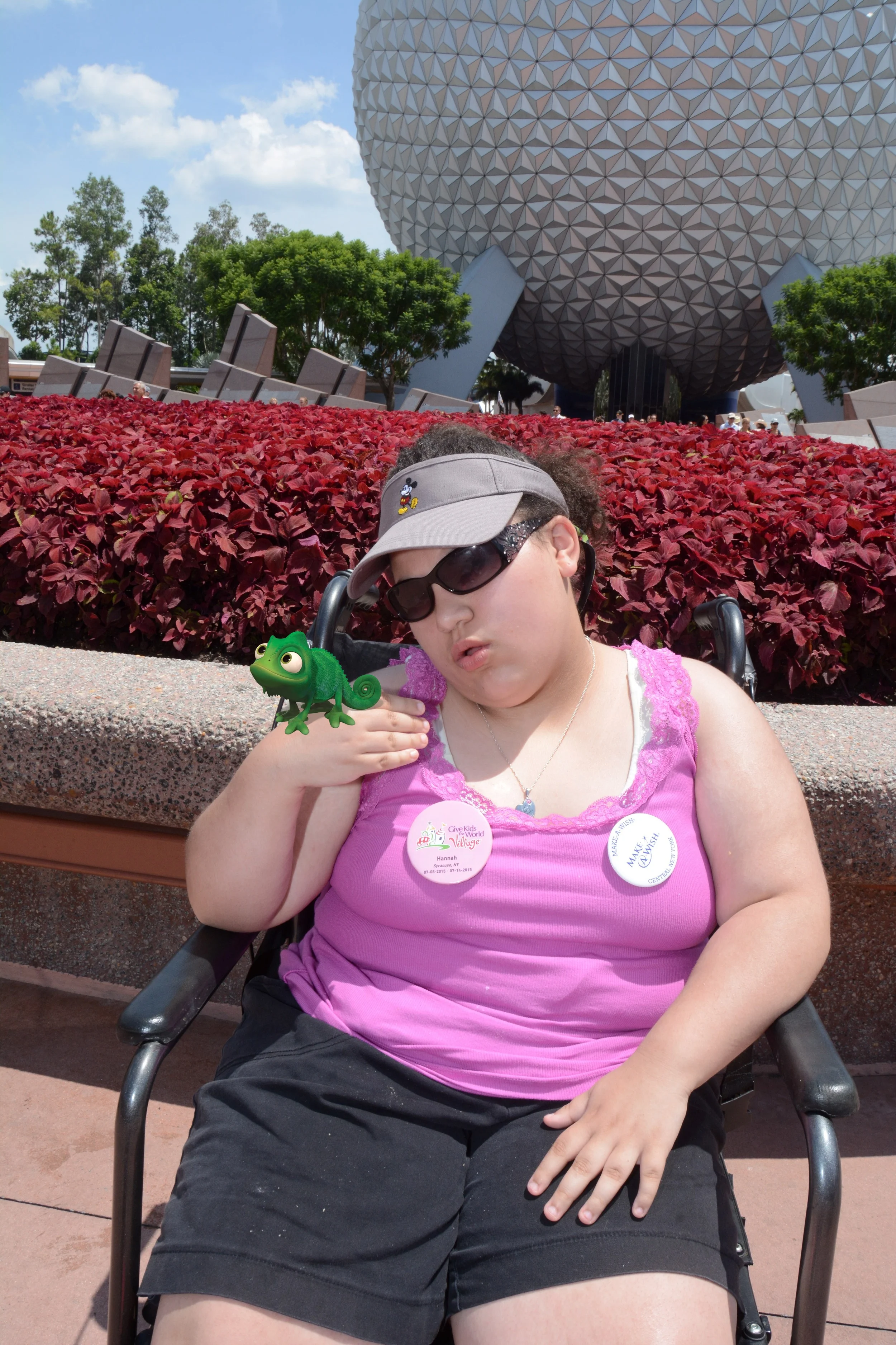 wdw2015192267479063_7385670342.jpg
