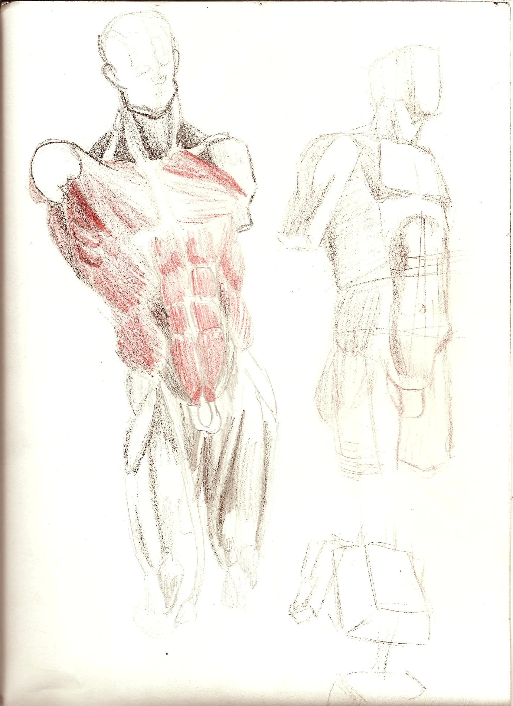 technical_study_by_marcopolol-d69w7q4.jpg