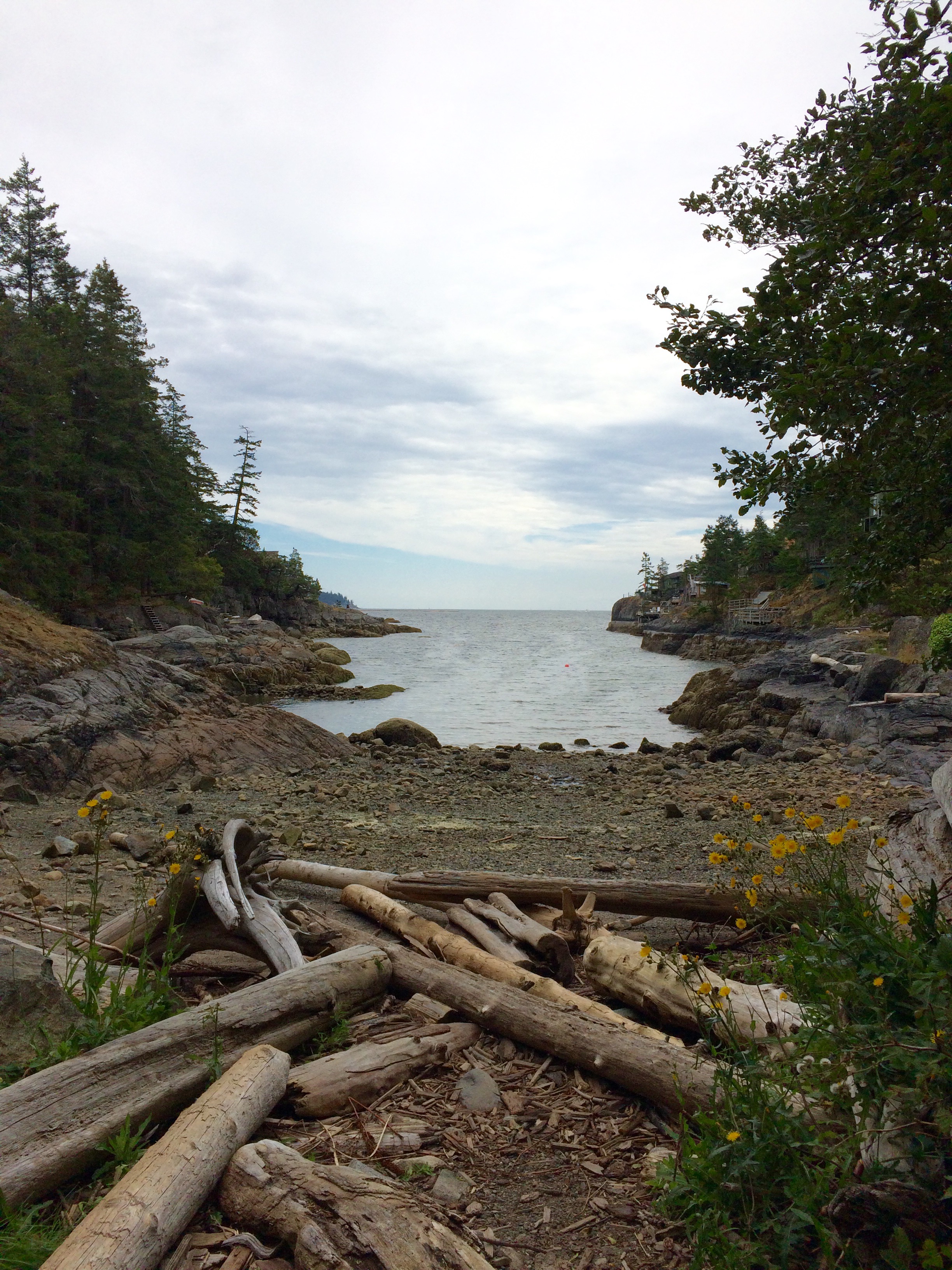 Smuggler's Cove