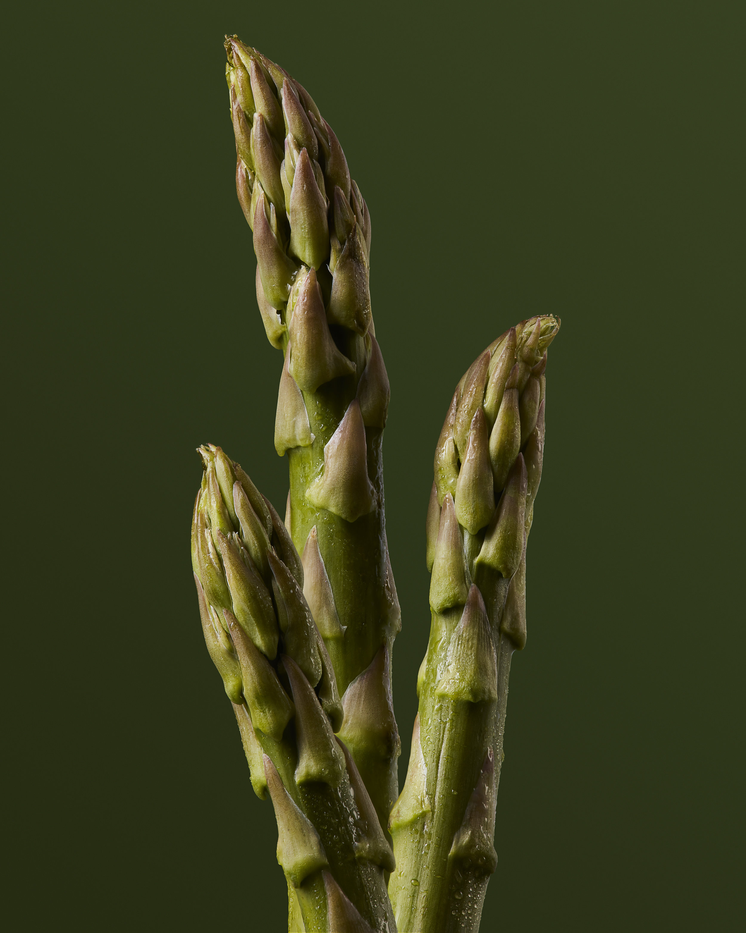 Asparagus Food Stylist Judy Kim Photographer Josh Dickinson