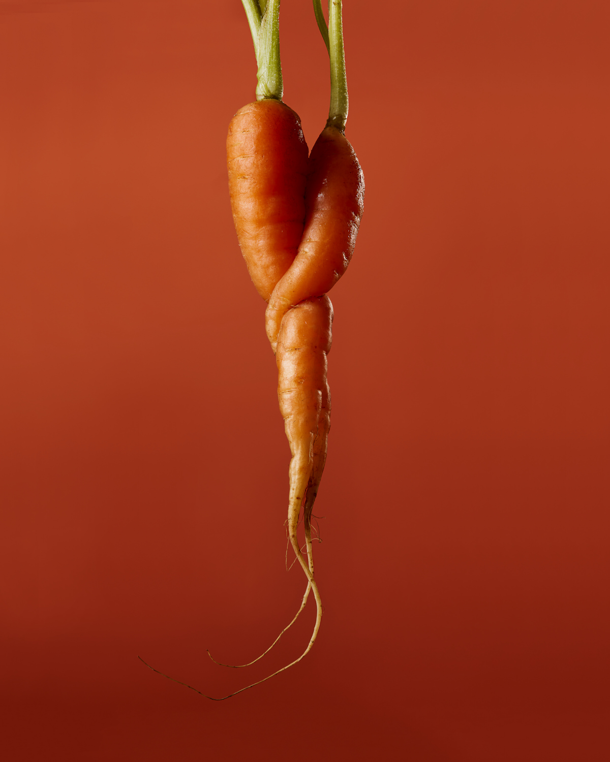 Carrot Food Stylist Judy Kim Photographer Josh Dickinson