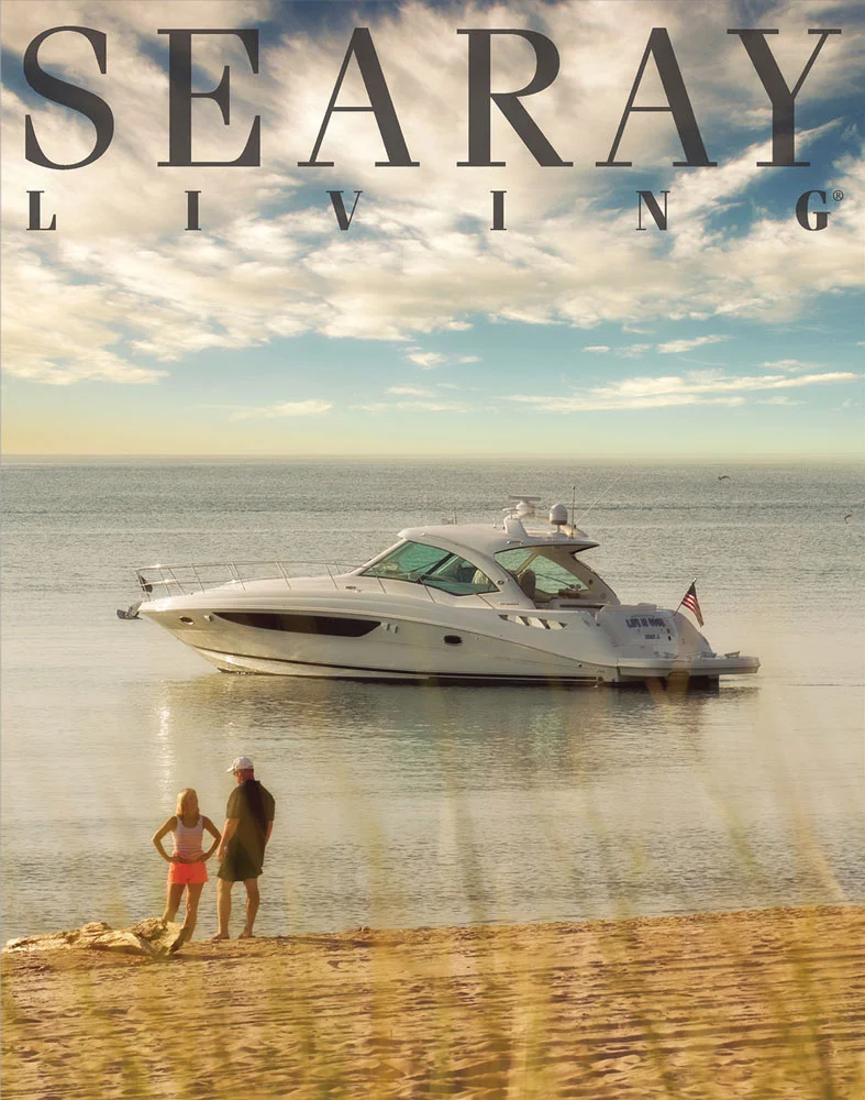 sr_cover.jpg