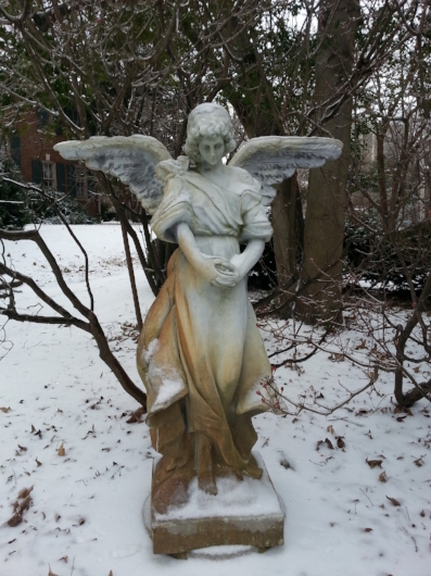 Snow Angel.jpg