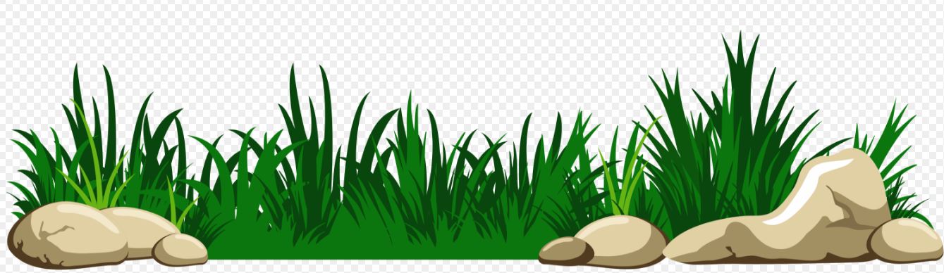 Grass-clipart-transparent-background-image.jpg