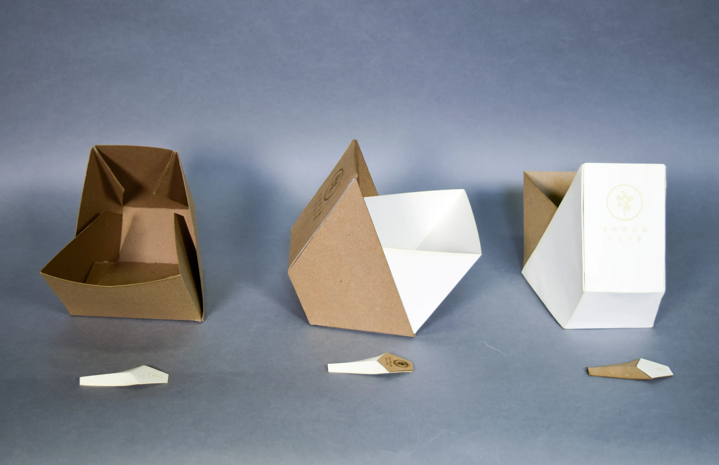 squarespace portfolio3.jpg