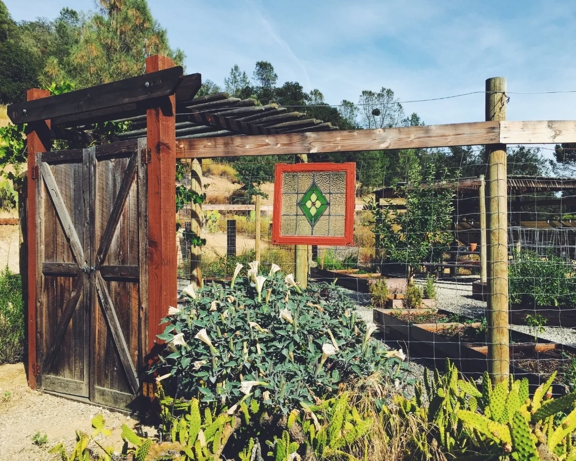 Sagrada+Yoga+retreat+California.jpeg