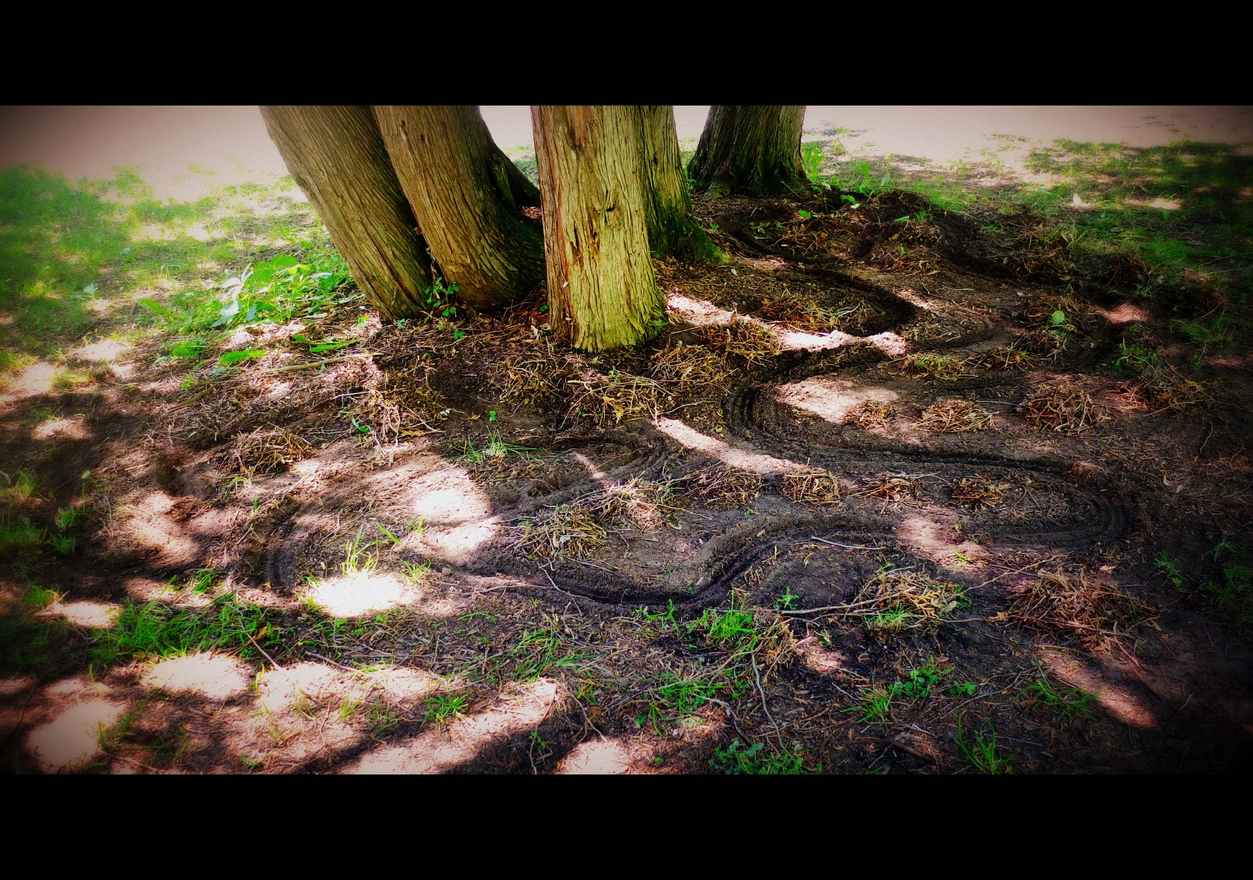 Land Markings 7.JPG