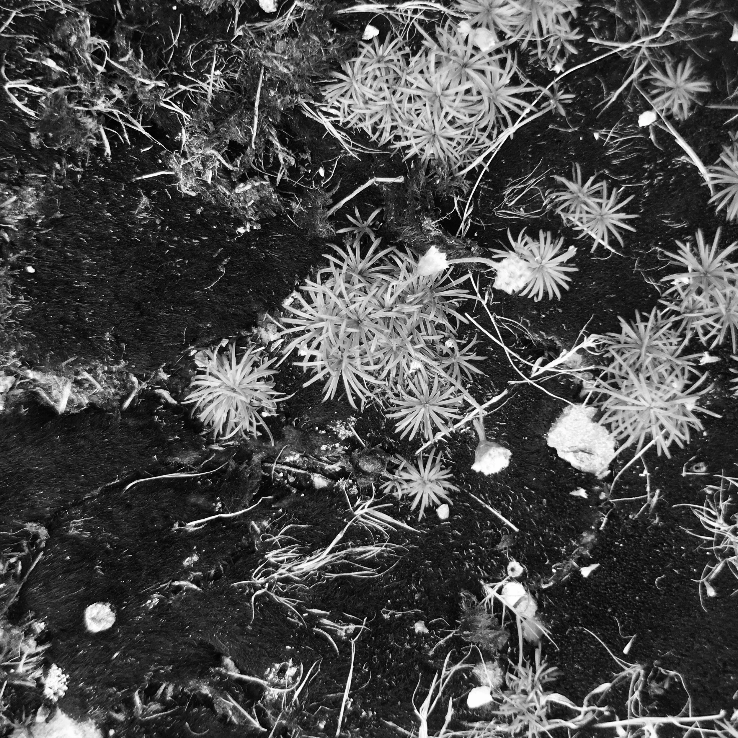 IMG_6025 (Edited).JPG