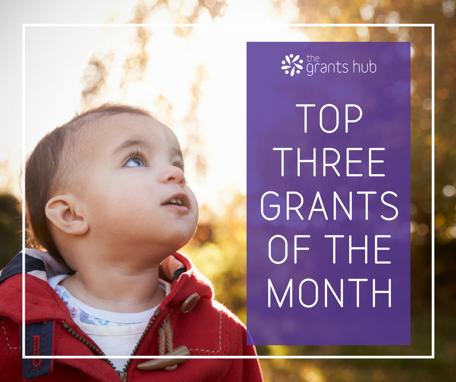 January's Top Three Grants.png