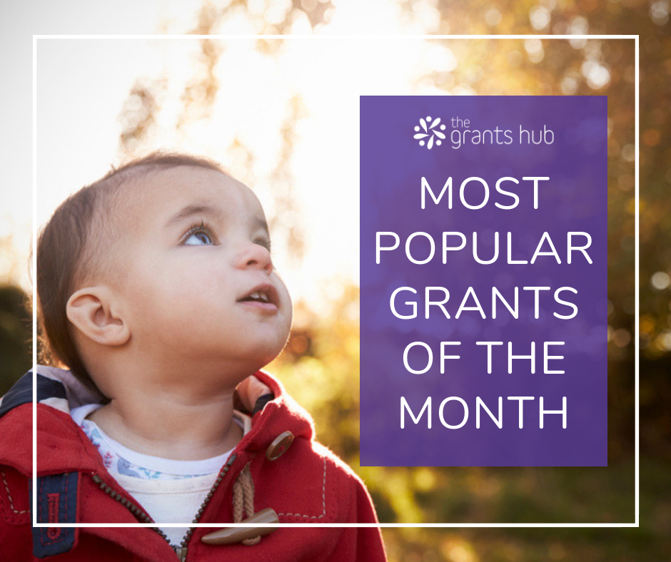 January's Most Popular Grants.png