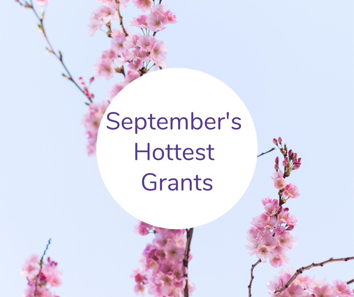 Grants to Check Out in September