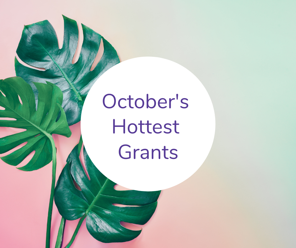 Grants to Check Out in October