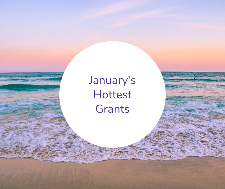 Grants to Check Out in January