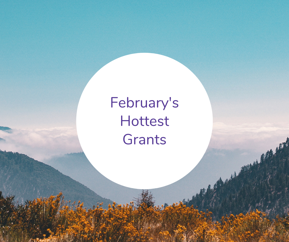 Grants to Check Out in February