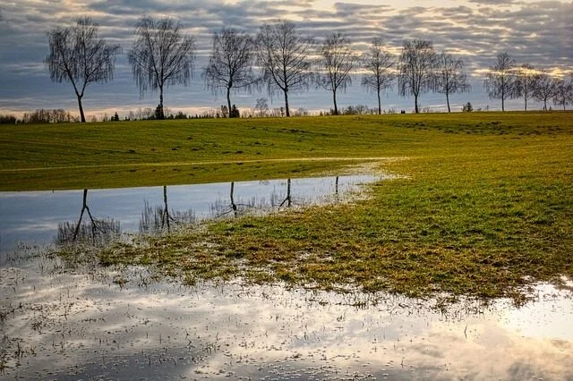 Disaster+Recovery+Payment