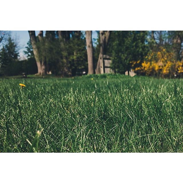 Harshness gone. All at once caring spreads over the naked gray of the meadows...A softness, as if from everywhere is touching the earth. Paths appear across the land and beckon. Surprised once again you sense it's coming in the empty tree.--Rilke