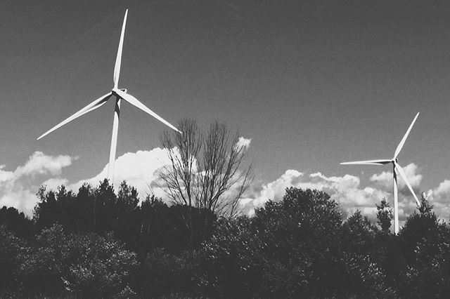 "Now look, your grace," said Sancho, "what you see over there aren't giants, but windmills, and what seems to be arms are just their sails, that go around in the wind and turn the millstone."
"Obviously," replied Don Quijote, "you don't know much about adventures...
When life itself seems lunatic, who knows where madness lies? Perhaps to be too practical is madness. To surrender dreams — this may be madness. Too much sanity may be madness — and maddest of all: to see life as it is, and not as it should be!"
Miguel de Cervantes, Don Quijote.