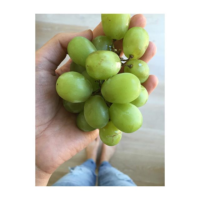 If ever I am tempted to feel isolated or alone, all I have to do is pay attention to what I'm eating...and feel the fullness of this great sustaining web of life represented there: To allow the wonder of it to compel prayers and gratitude to the earth and many hands that brought these particular grapes to bear so that they could be part of my particular body and my particular life at this particular moment. #loveinafracturedworld #relationaluniverse