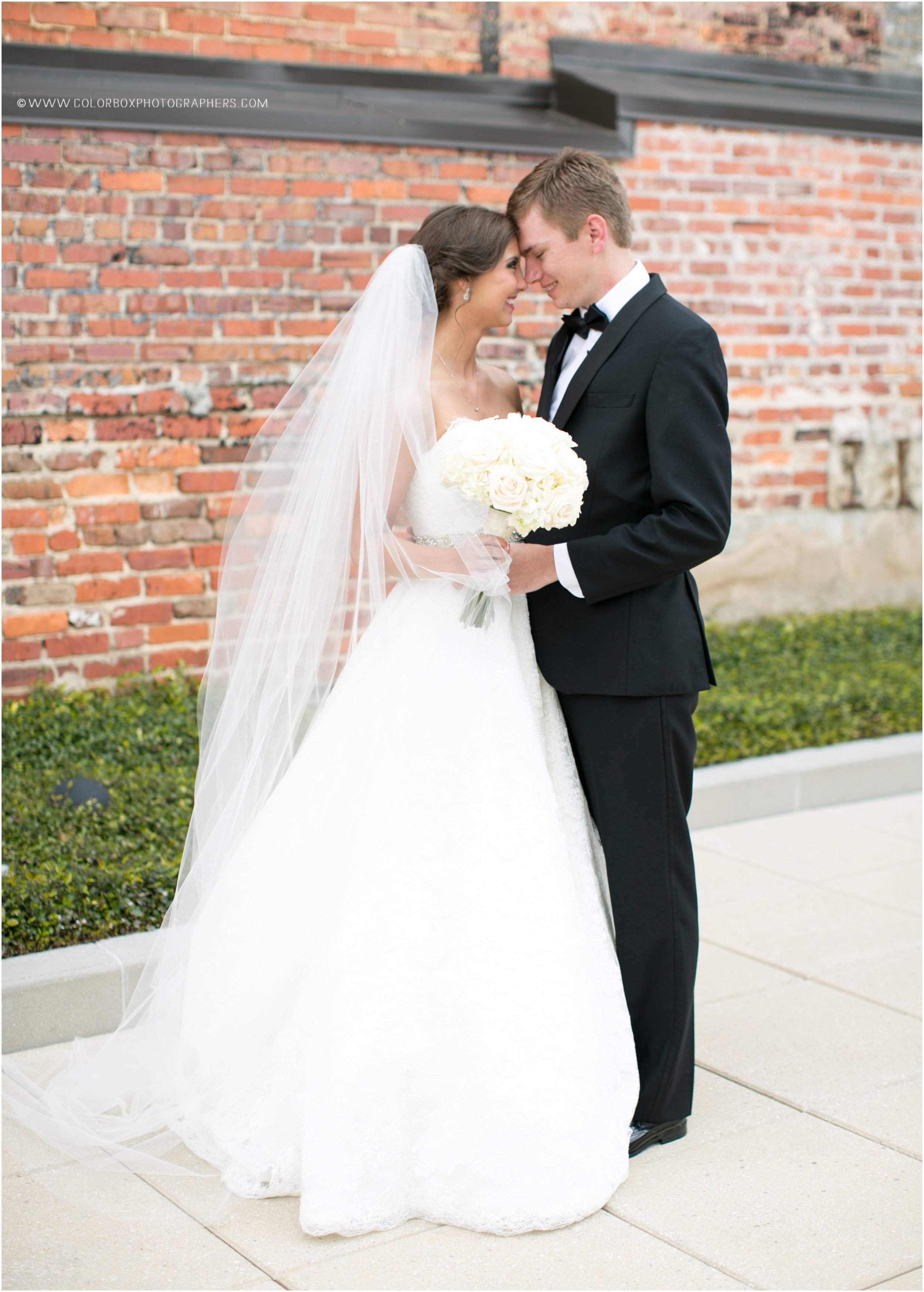 colorboxphotographers_4049.jpg