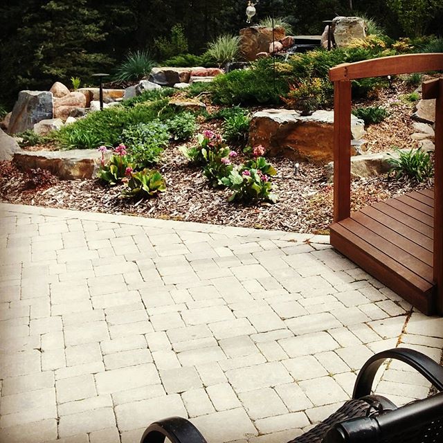 In love with this beautiful backyard we saw this morning! Completely understand why the 1/2 acre yard sold these clients on their new home. Not pictured: private forest, lap pool, and giant water feature/ water fall 🏡☀️ #yyc #calgary #interiordesign
