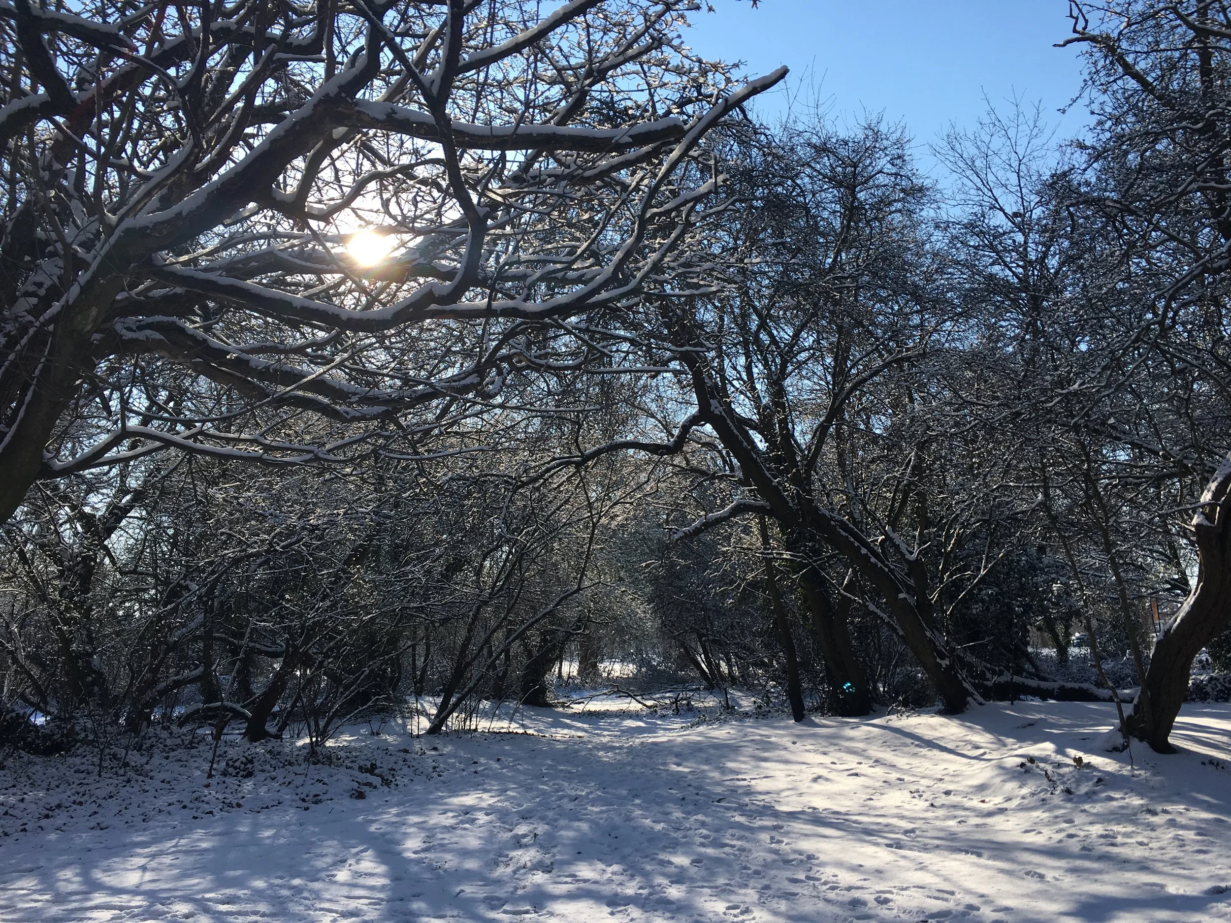 Clapham Common - the snow came