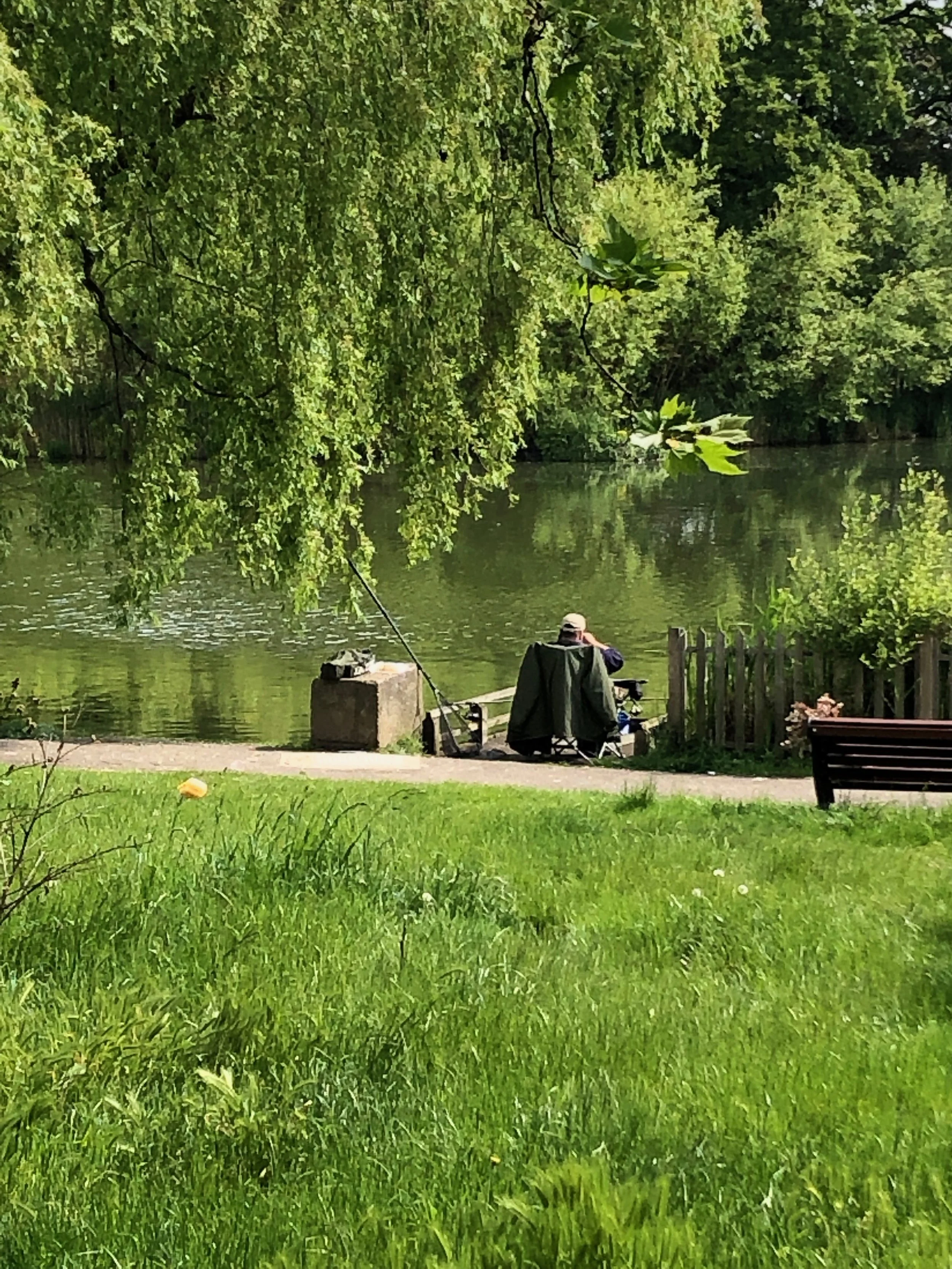 I don’t want half measures