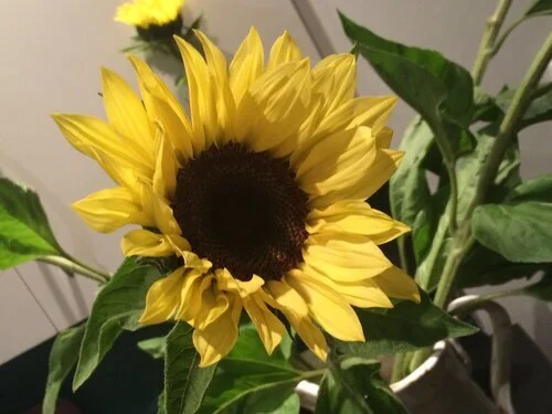 I know him better than he knows himself