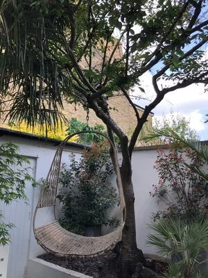 I think it’s something to do with having my ovaries taken out.