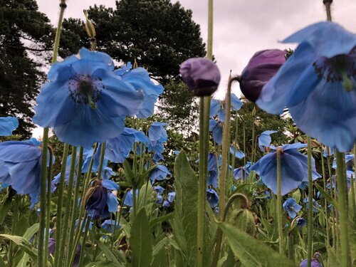 World peace is about finding peace within