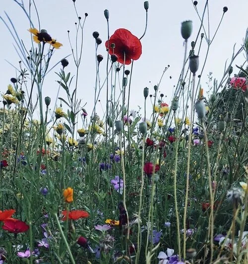 It's the everyday things you miss