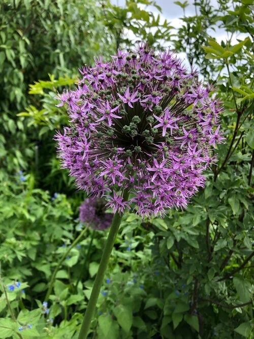 Accept sadness when it comes