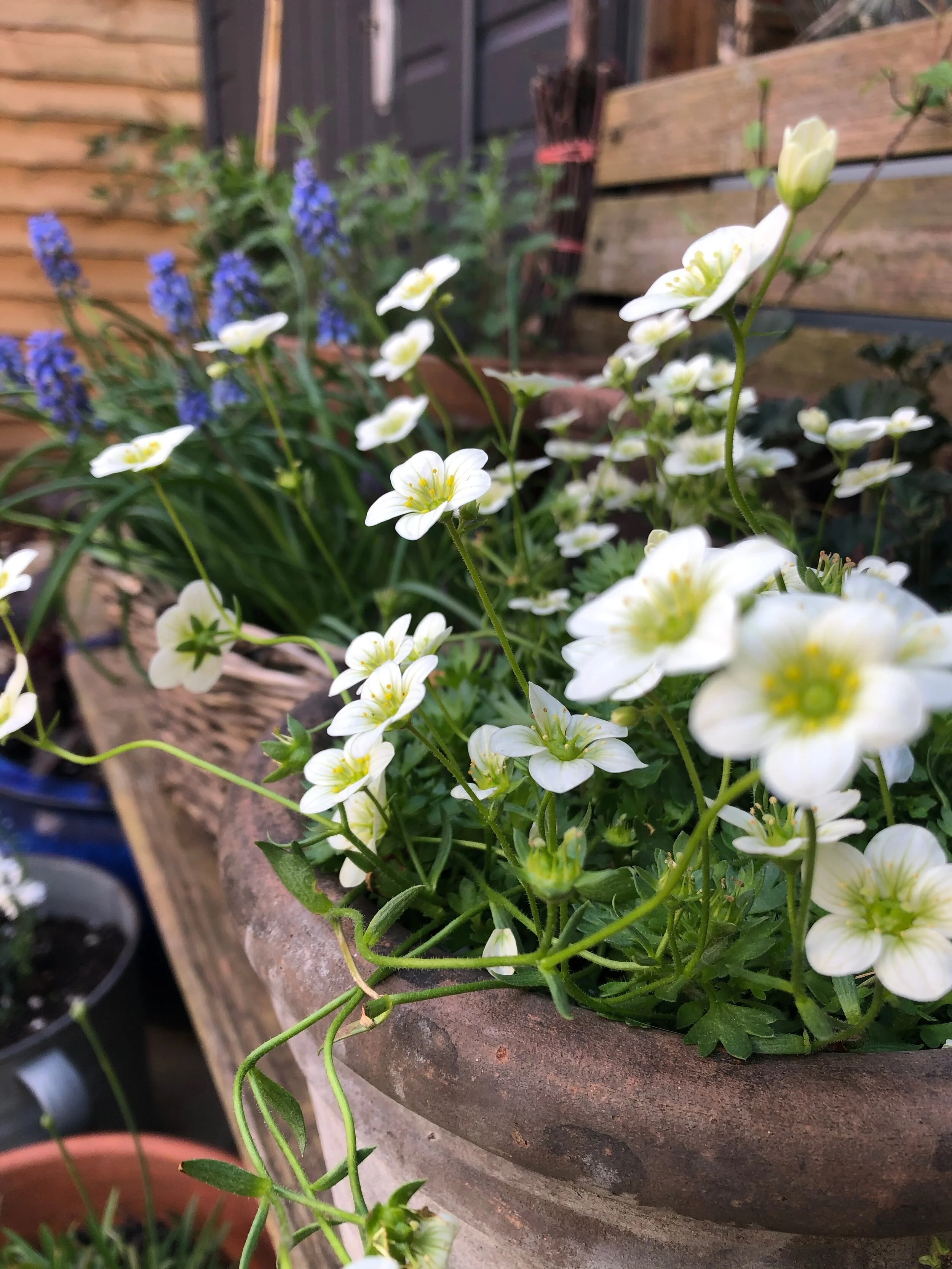 I’m quite a plain Jane with bleached hair