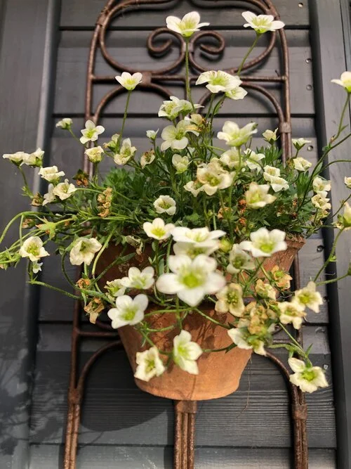 Take time to listen, nobody gives time anymore