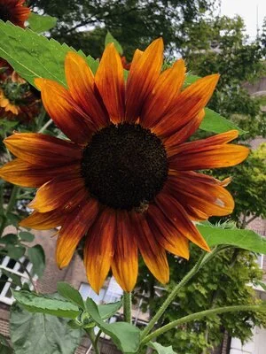 I’m trying to stop resisting what is happening but something is different