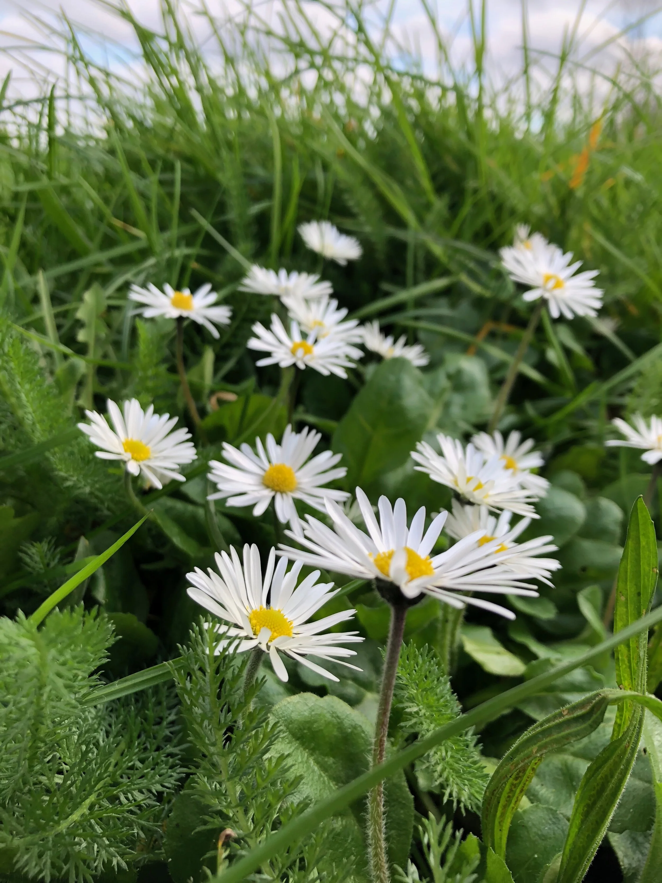 I am looking to be fulfilled outside of the family unit