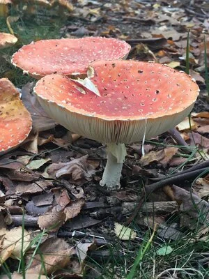 Time’s running out