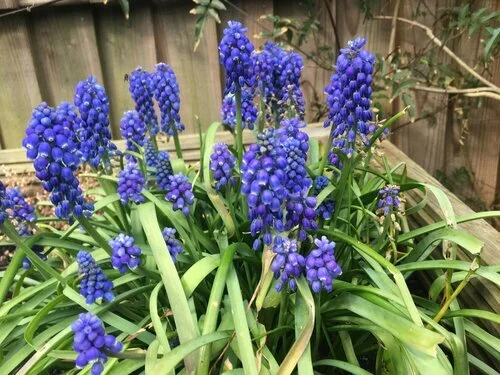 Never take too much notice of emotions that come up with the seasons, it’s supposed to be that way