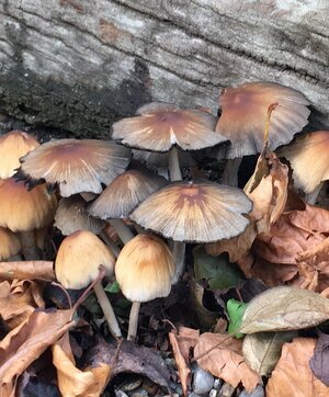 It’s a struggle for someone like me because I’m vain