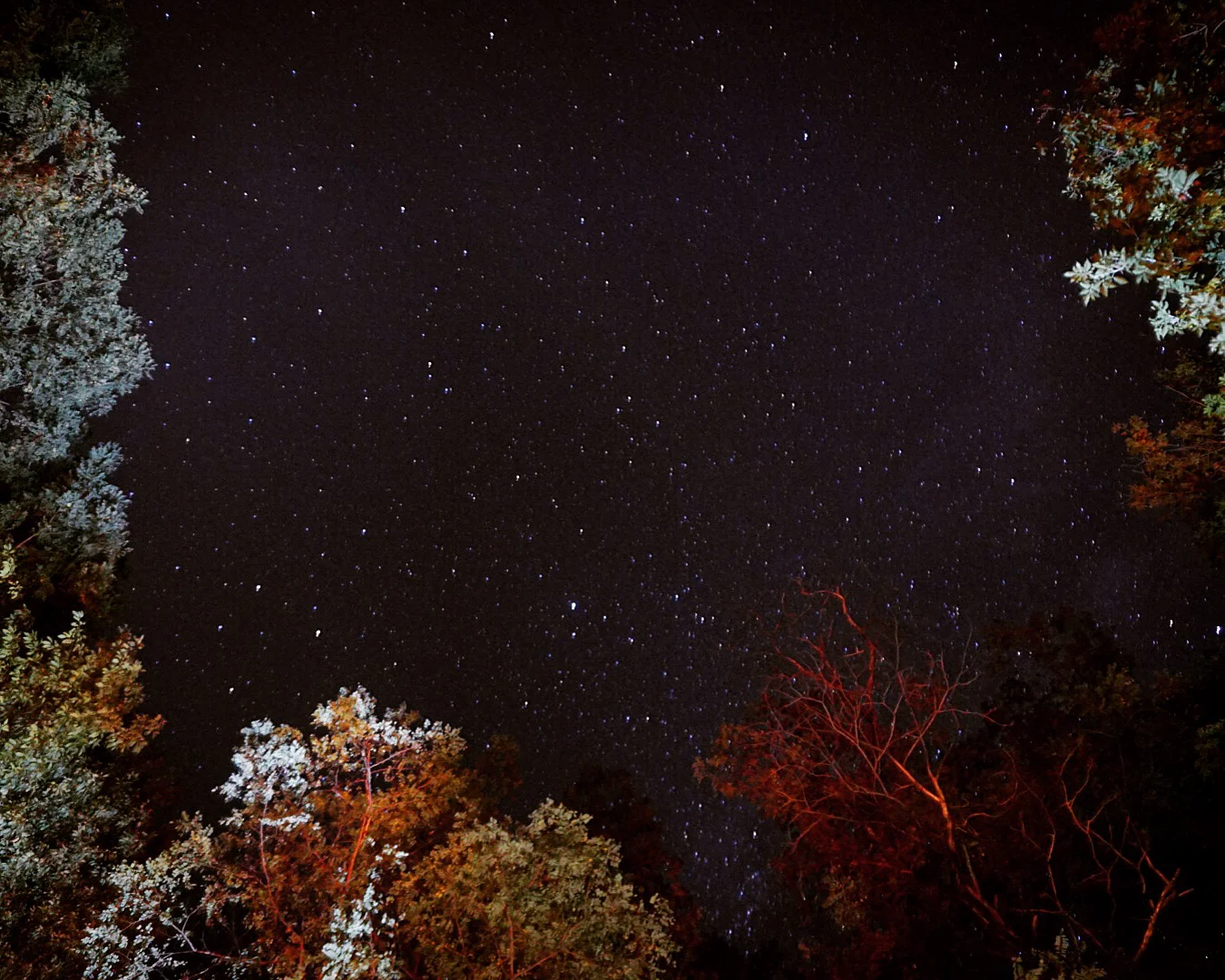 stars.jpg