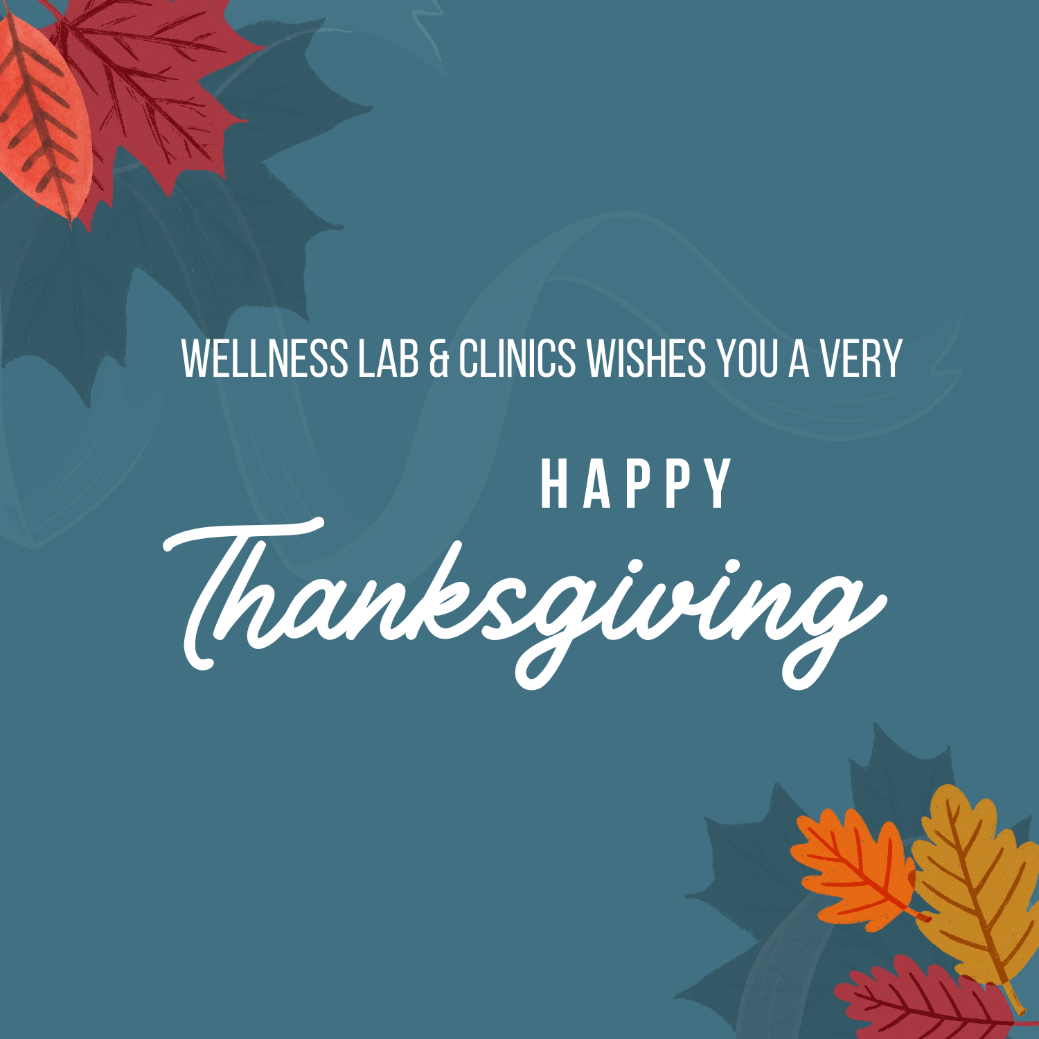 happy-thanksgiving-wellness-lab-clinics